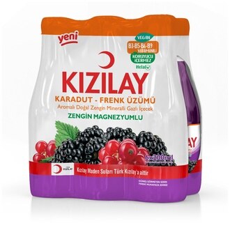 Kızılay Karadut Frenk Üzümü Aromalı Maden Suyu 6 x 200 Ml